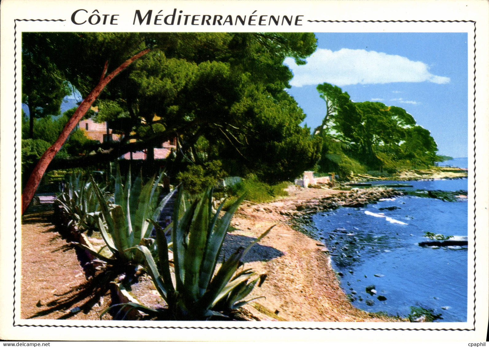 CPM Cote Mediterranee Calanques et pinedes