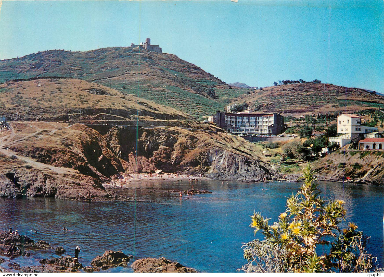 CPM Cote Vermeille Collioure Le Centre Helio Marin