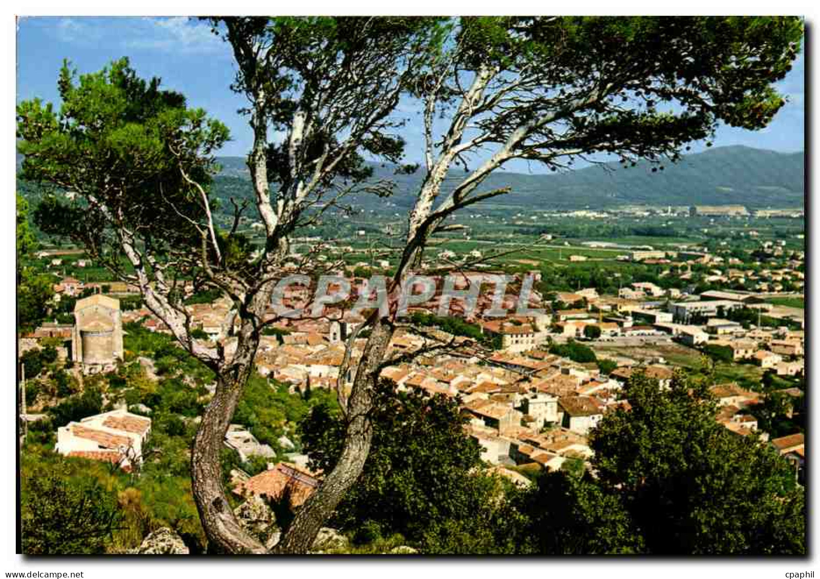CPM Cuers Vue Generale