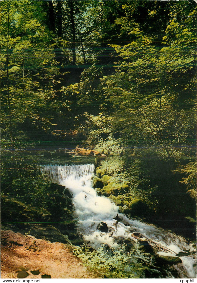 CPM Divonne les bains (ain) La source de la Divonne