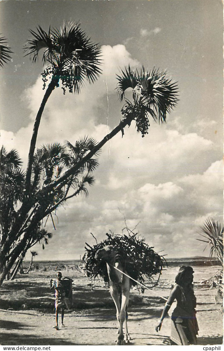 CPM Djibouti Marchand de bois