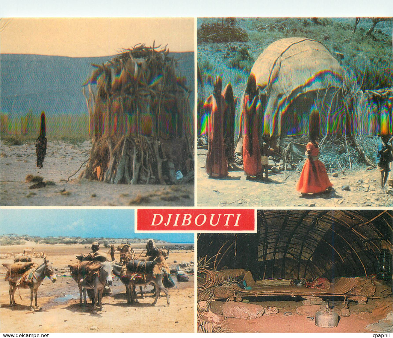 CPM Djibouti Republique de Djibouti Campement nomade Ane Donkey