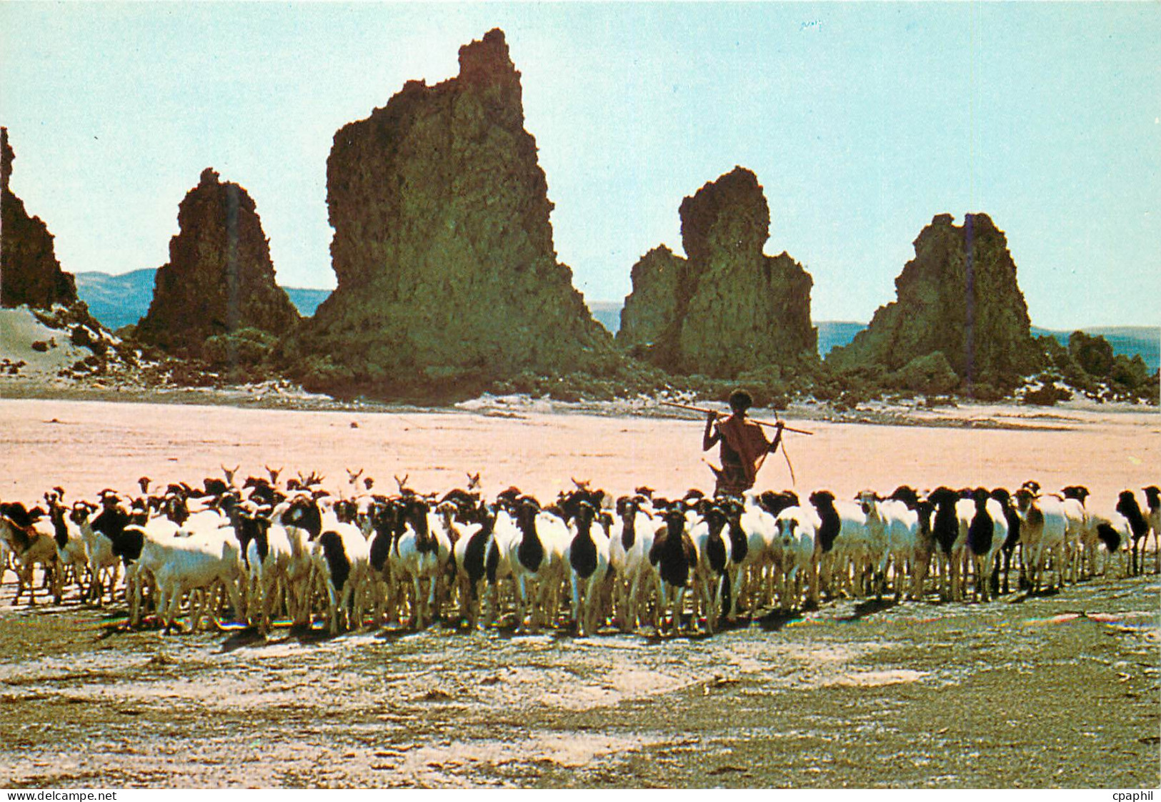 CPM Djibouti Republique de Djibouti Lac Abbe Chevre