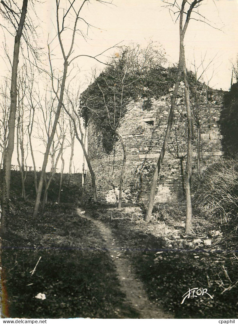 CPM Dol de Bretagne Les Ruines du Chateau