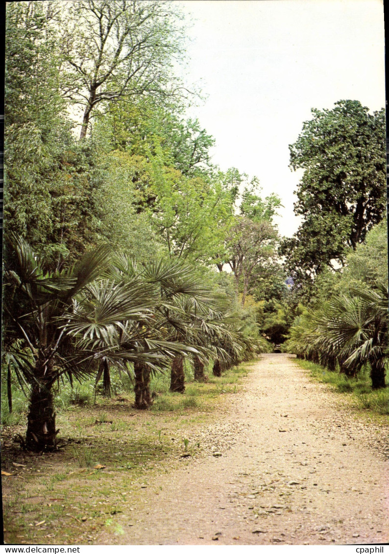 CPM Domaine de Prafrance Par Anduze Gard Allee de Palmiers