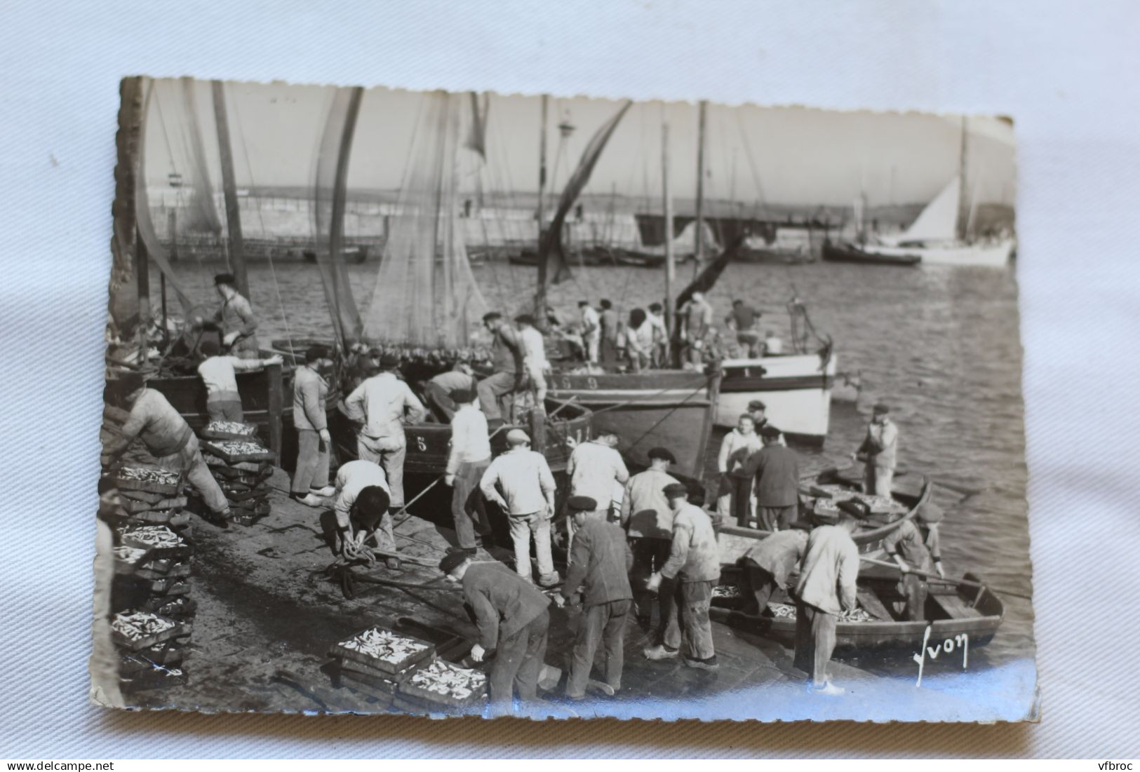 Cpm, Douarnenez, arrivage de la sardine, Finistère 29