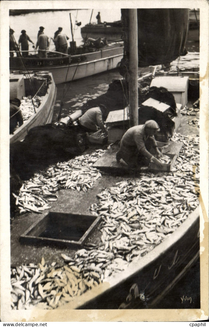 CPM Douarnenez Triage de la Peche