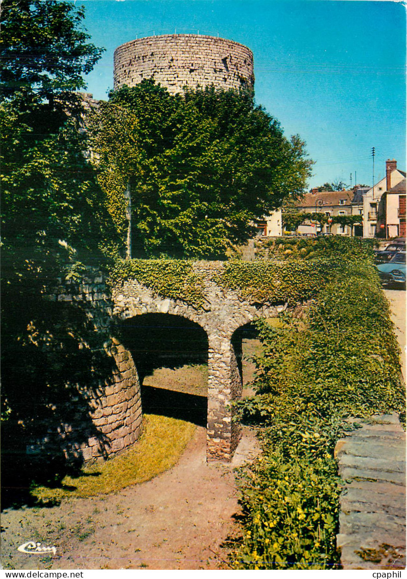 CPM Dourdan (Essonne)Les fosses du Chateau