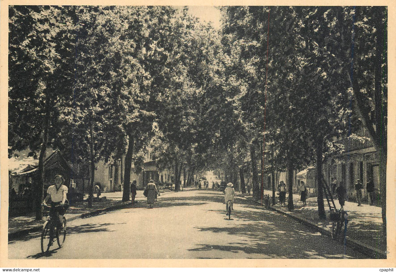 CPM Draguignan Boulevard Georges Clemenceau L'Esplanade