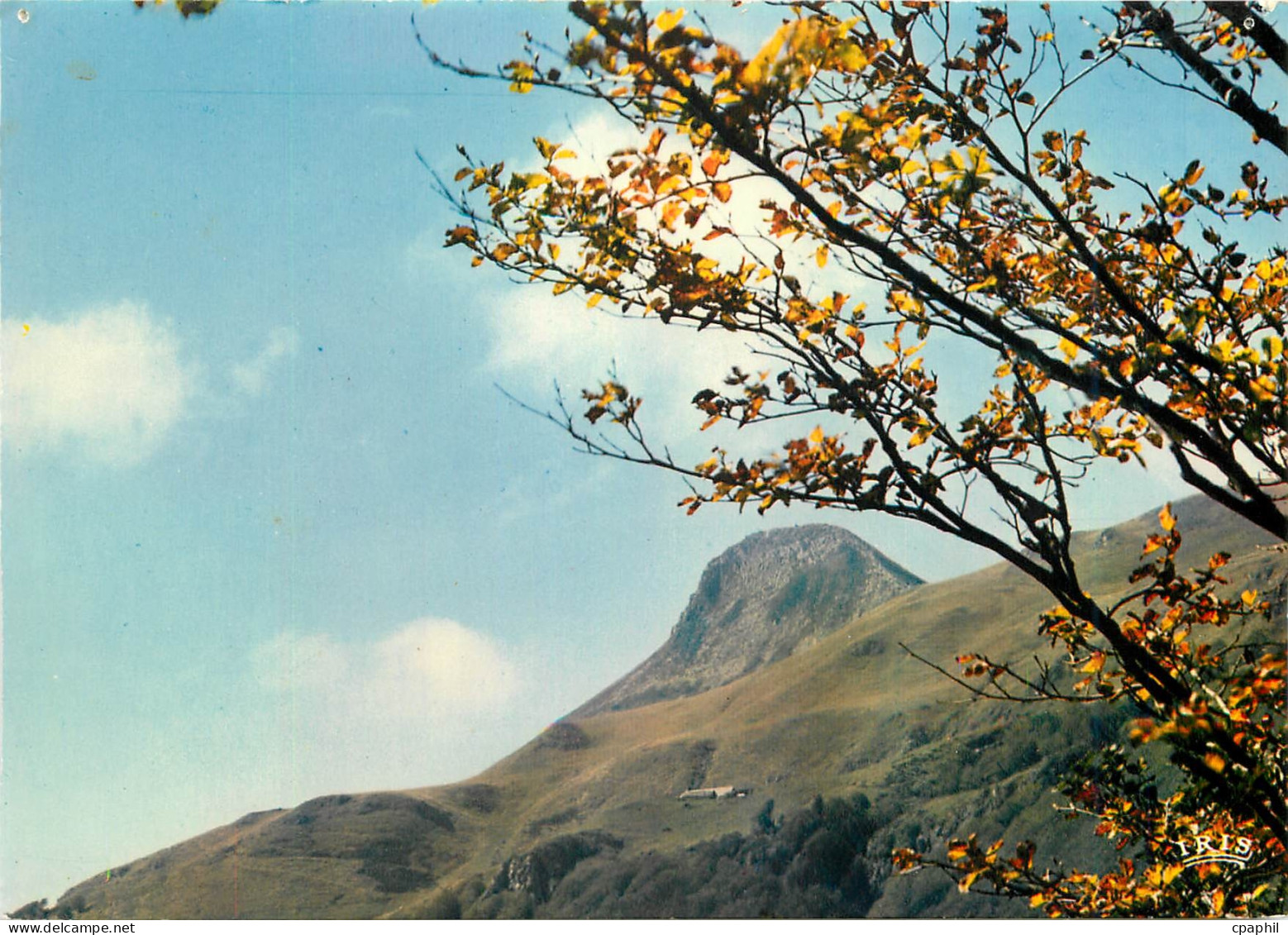 CPM En Auvergne Paysage d'Automne