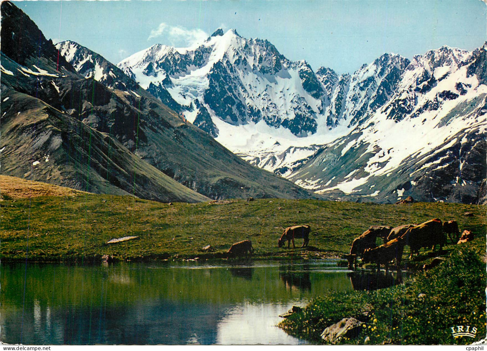 CPM En Oisans les Agneaux depuis le Lac du Pontet