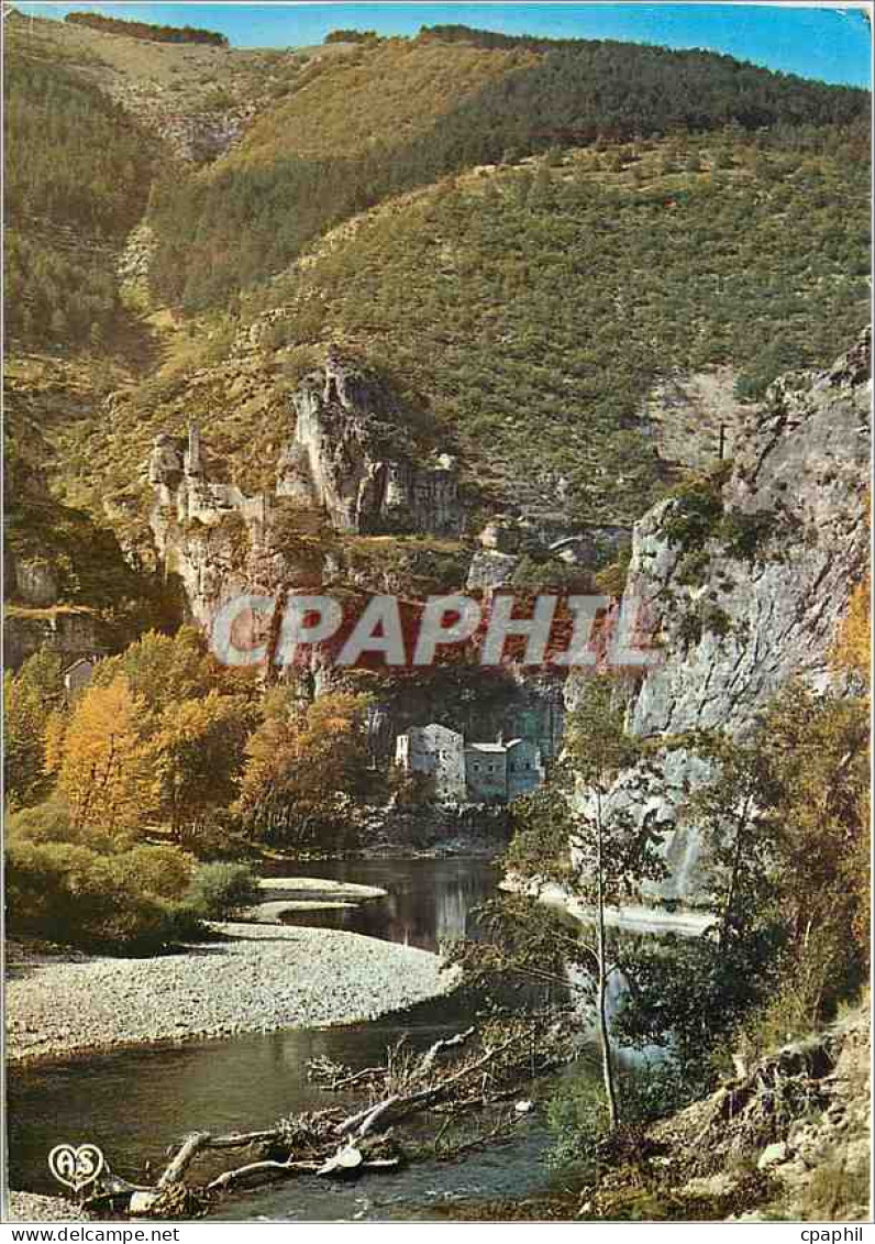 CPM En Parcourant les Gorges du Tarn Le Chateau de Castelbouc dominant la Vallee du Tarn