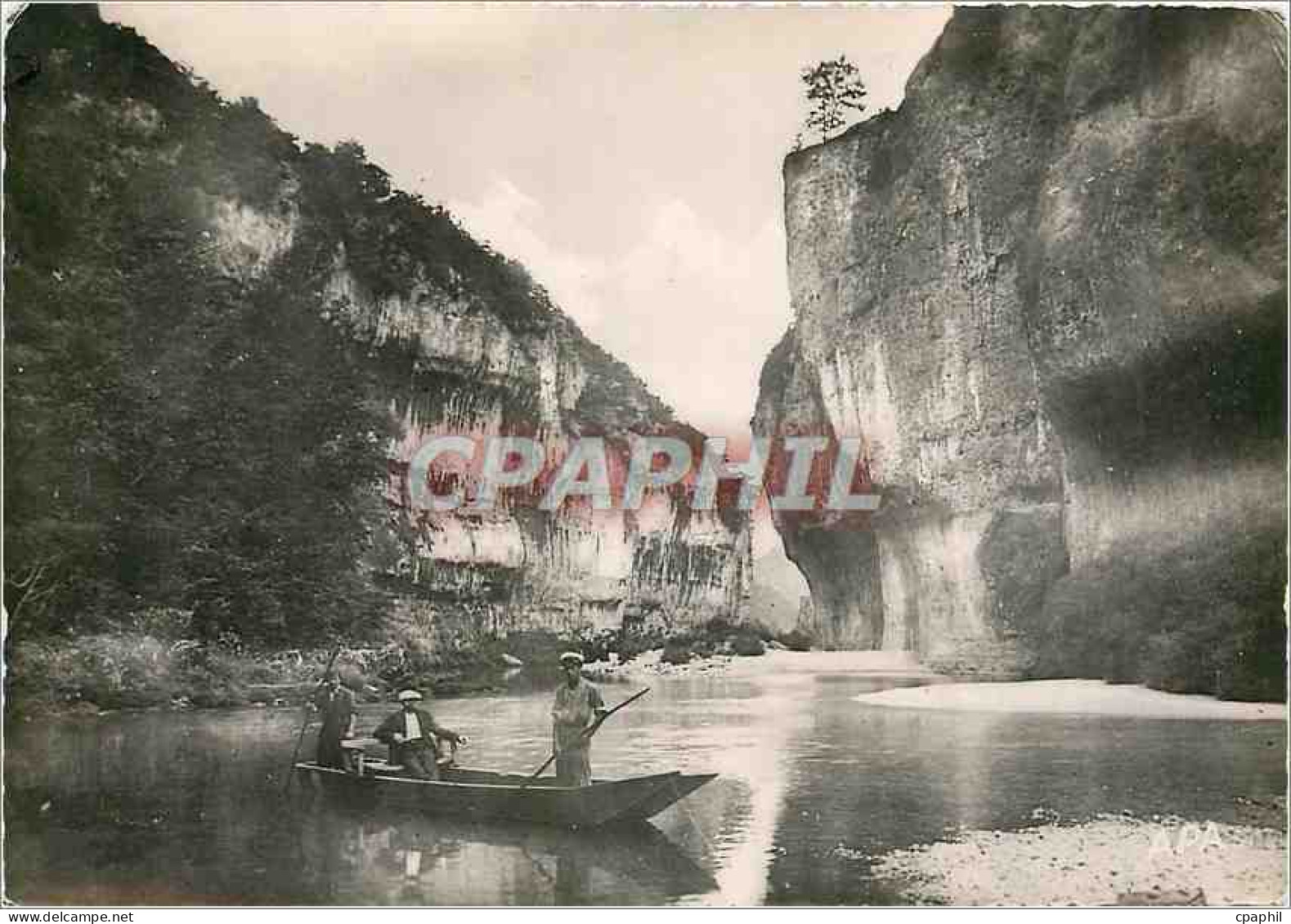 CPM En Parcourant Les Gorges du Tarn Les Detroits