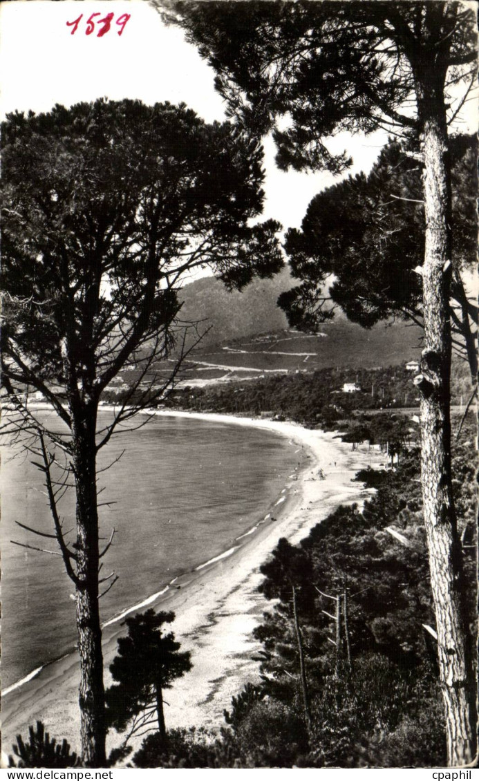 CPM Environs de Cavalaire sur Mer La plage de PArdigon