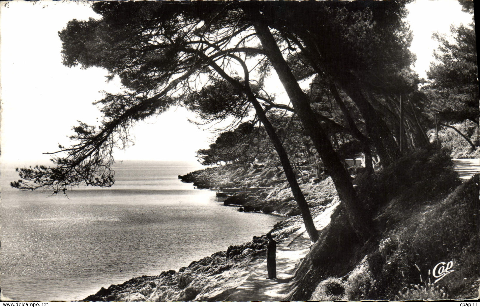 CPM Environs de Menton Roquebrune Cap martin La promenade du Cap Martin