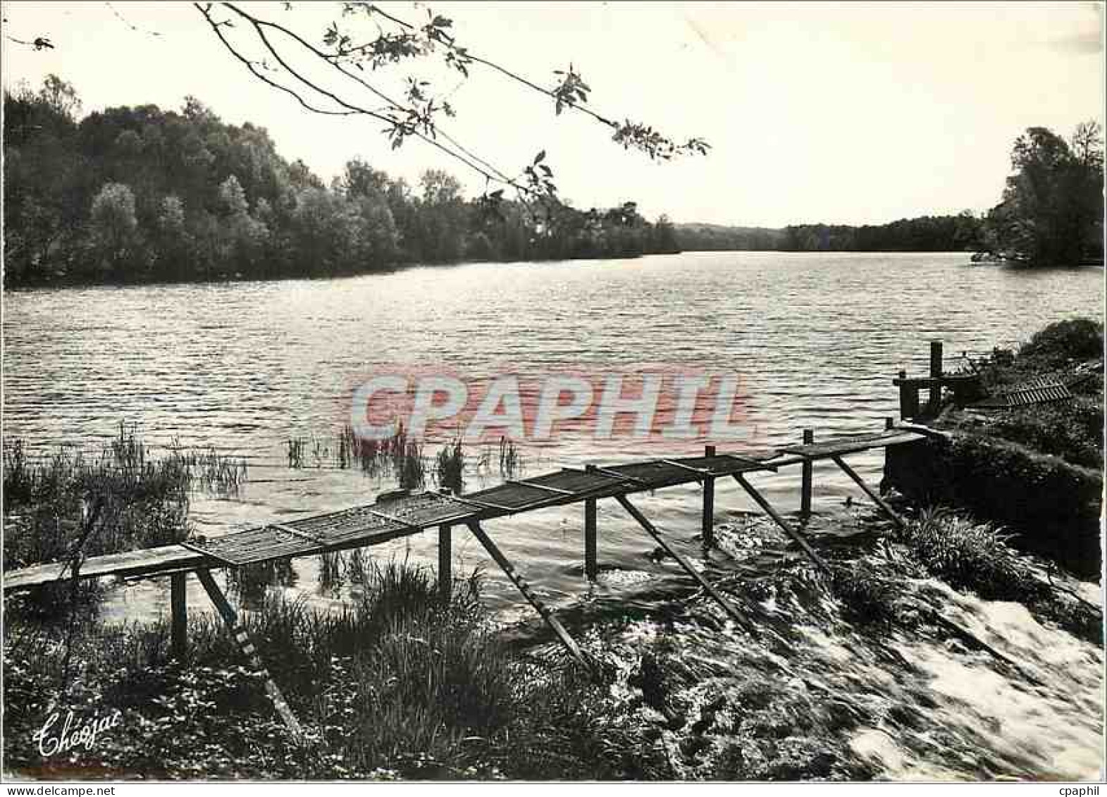 CPM Environs de Nantiat Haute Vienne Etang de Tricherie