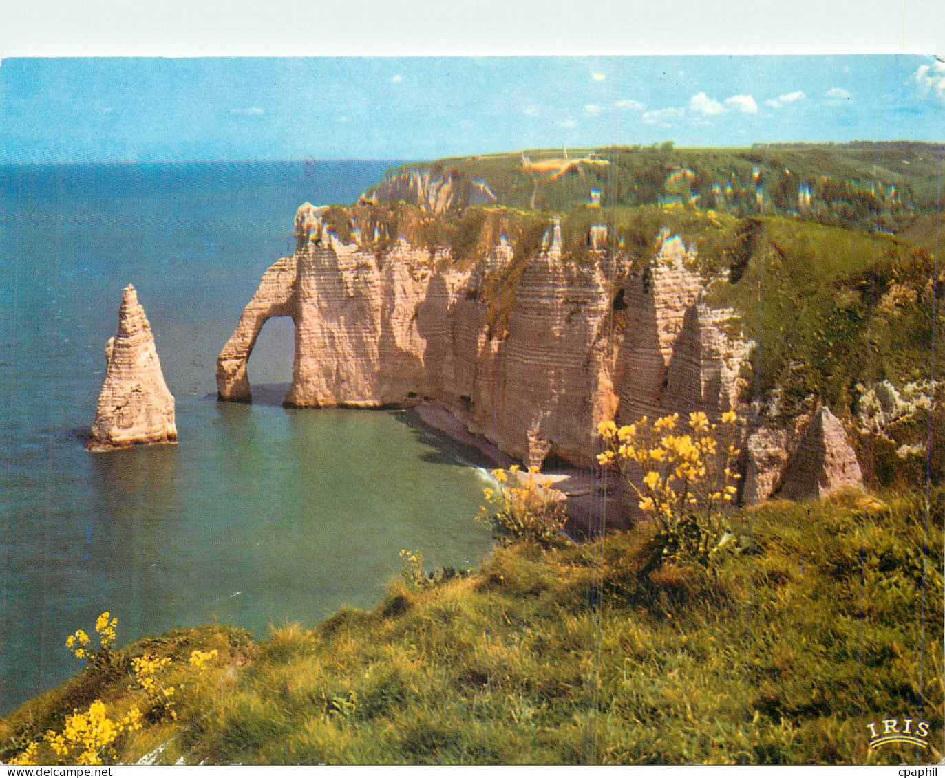 CPM Etretat l'aiguille et la falaise
