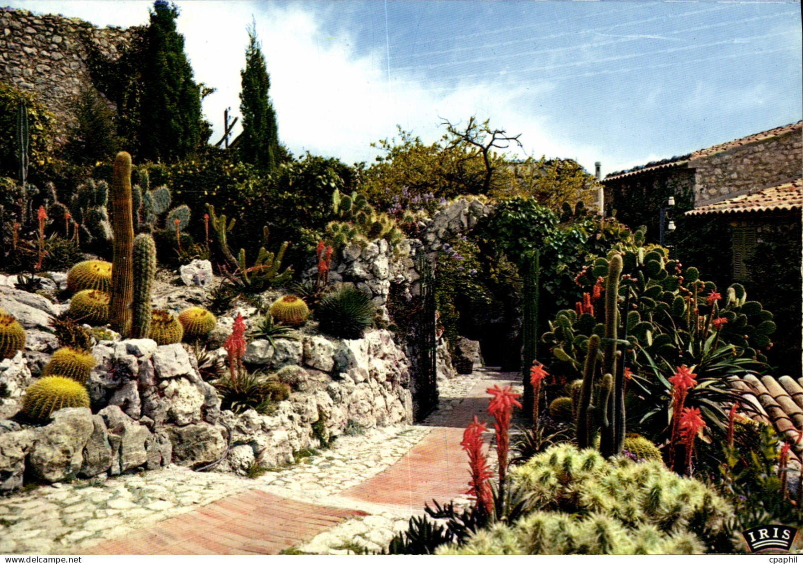 CPM Eze Village Le Jardin Exotique Cactus