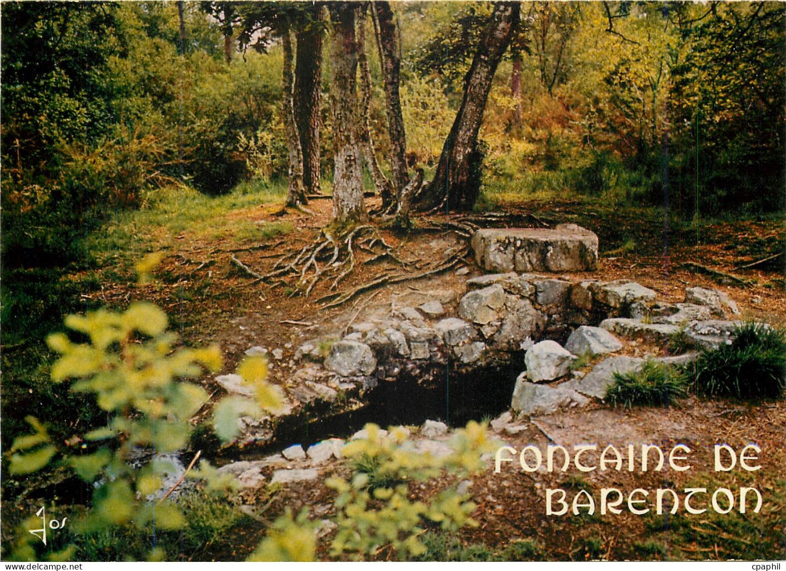 CPM Fontaine de Barenton Foret de Paimpont