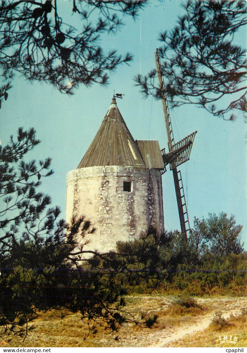 CPM Fontvieille (B du R) Le moulin de Daudet