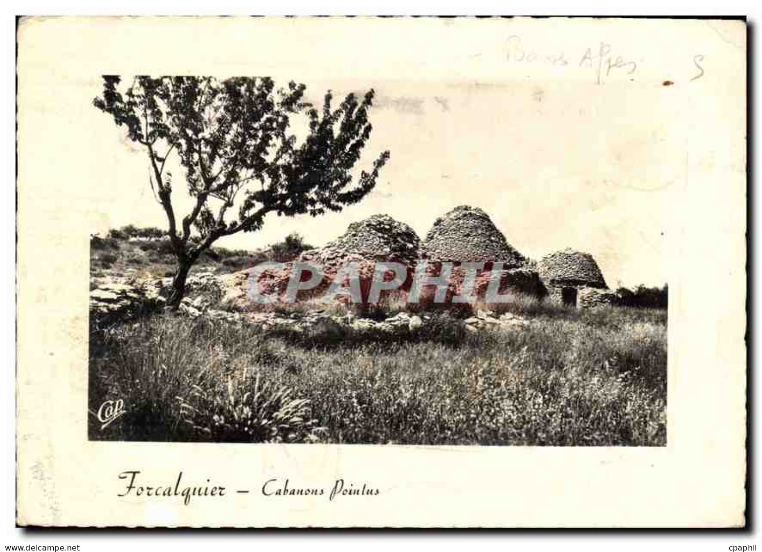 CPM Forcalquier Cabanous Pointus