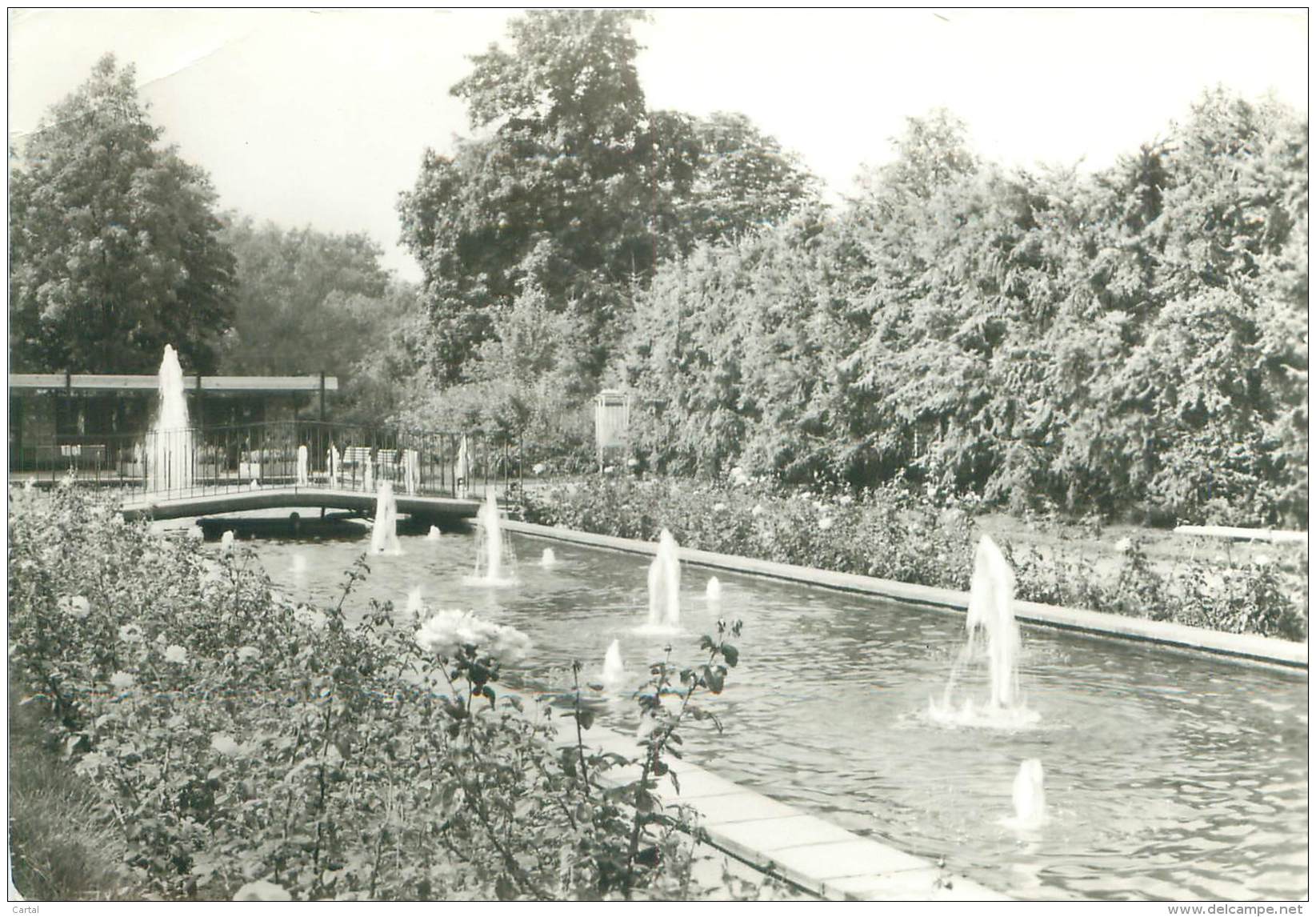 CPM - FORST - Rosengarten