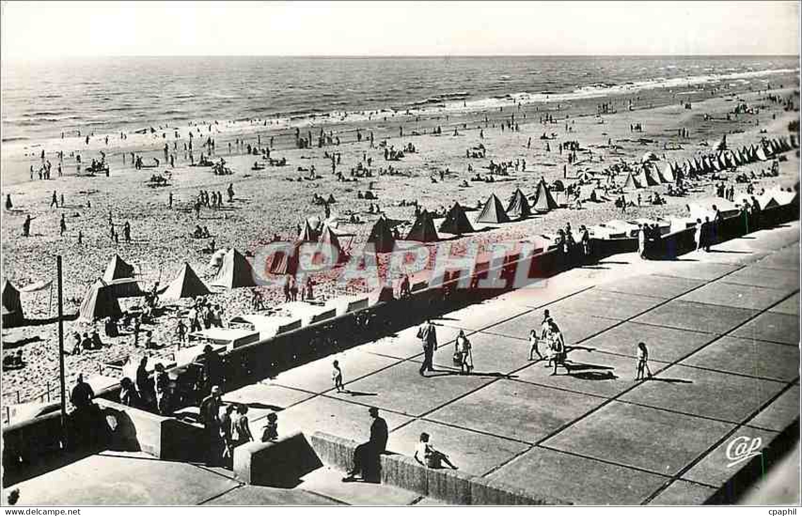 CPM FORT-MAHON-PLAGE