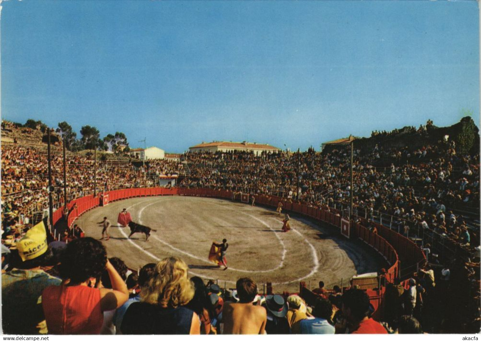 CPM FREJUS Une Novillada aux Arenes de Frejus (1114643)