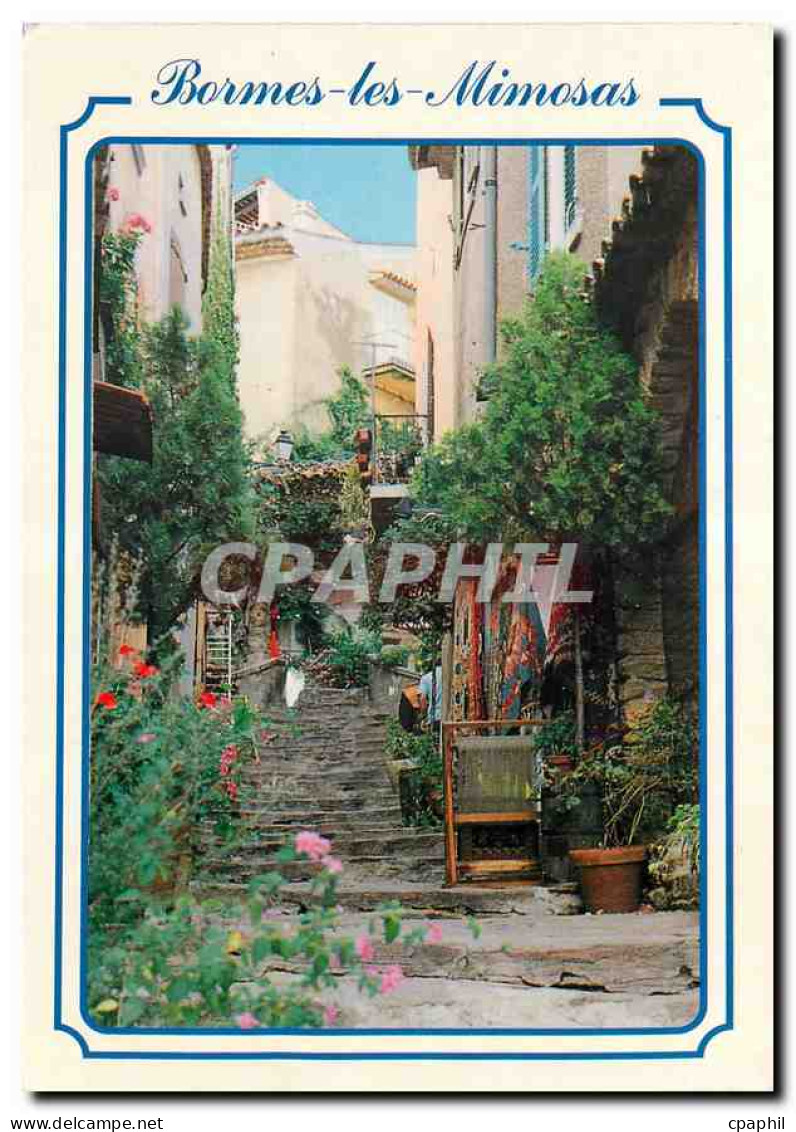 CPM French Riviera Bormes les Mimosas Var