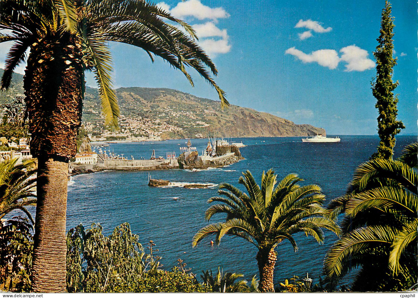 CPM Funchal madeira vue orientale