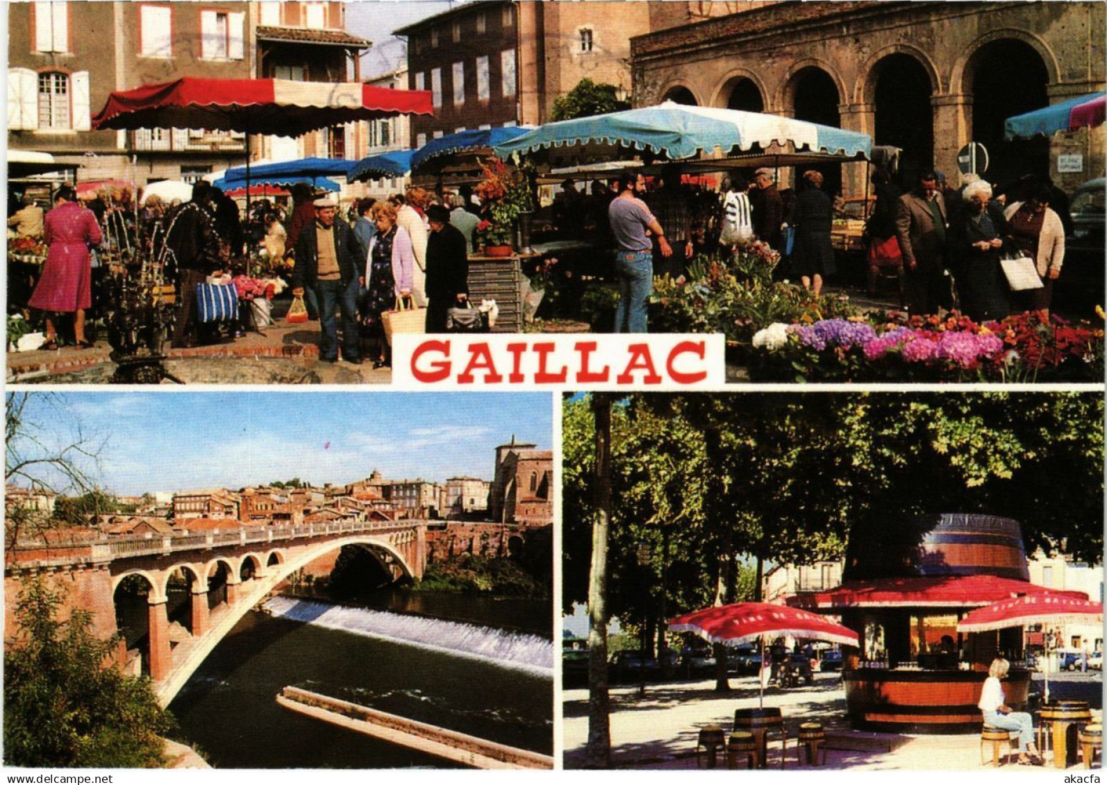 CPM Gaillac Souvenir FRANCE (1016760)