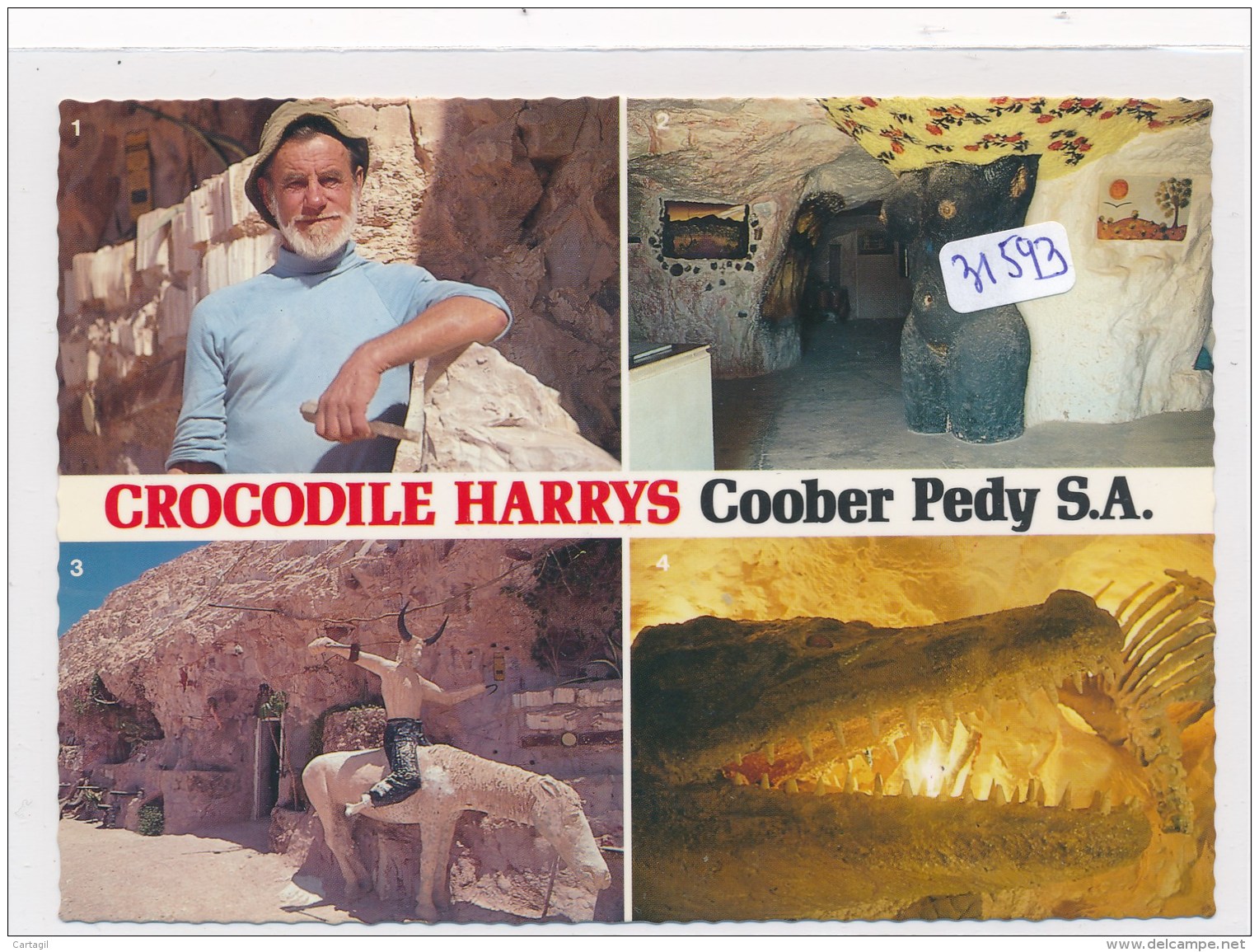CPM GF - Australie - Coober Pedy - Multivues Crocodile Harrys
