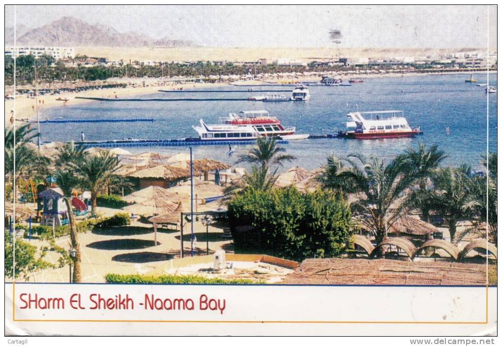 CPM GF format 168x116mm  - Lot B589 à B600 - Egypte - Sharm el Scheik -Naama Bay Livraison offerte sous conditions