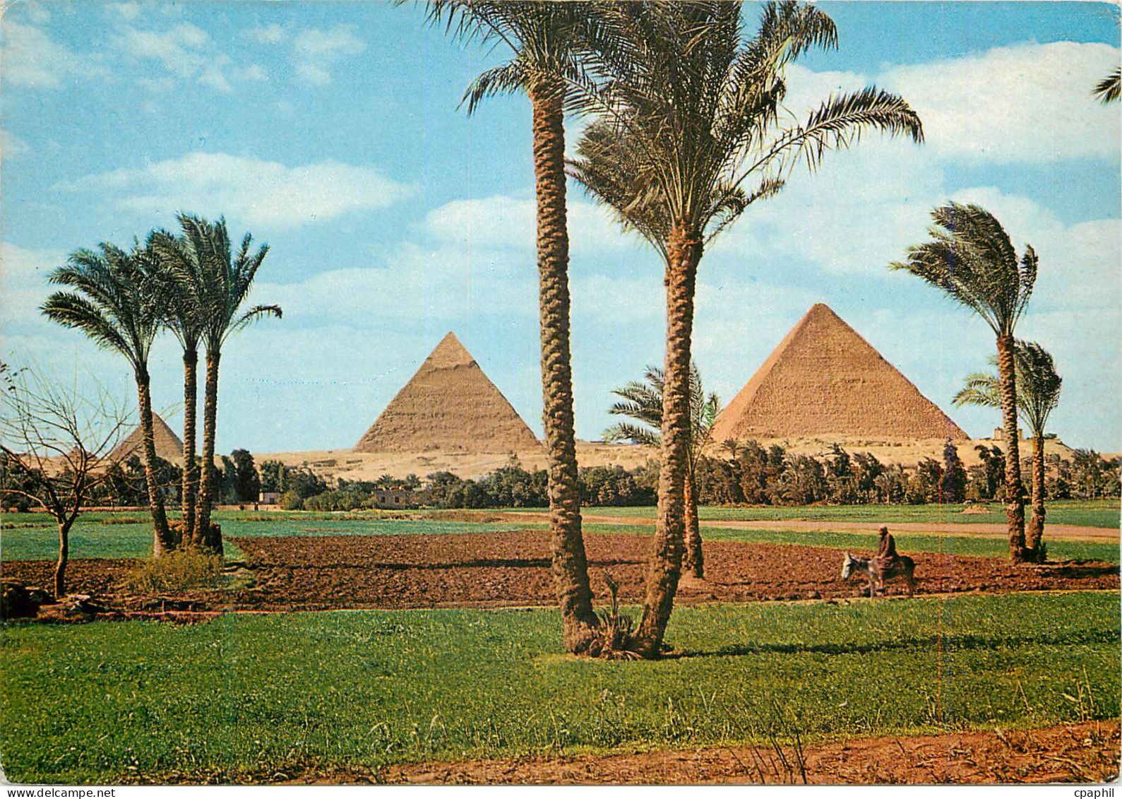 CPM Giza Les Pyramides