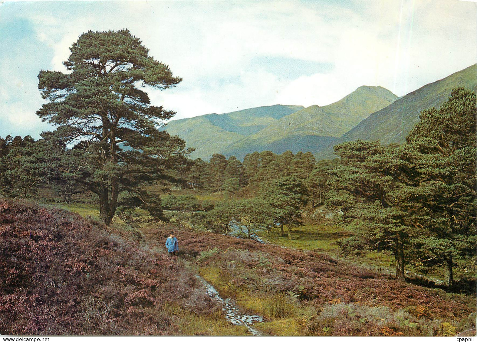 CPM Glenn Affric Inverness shire