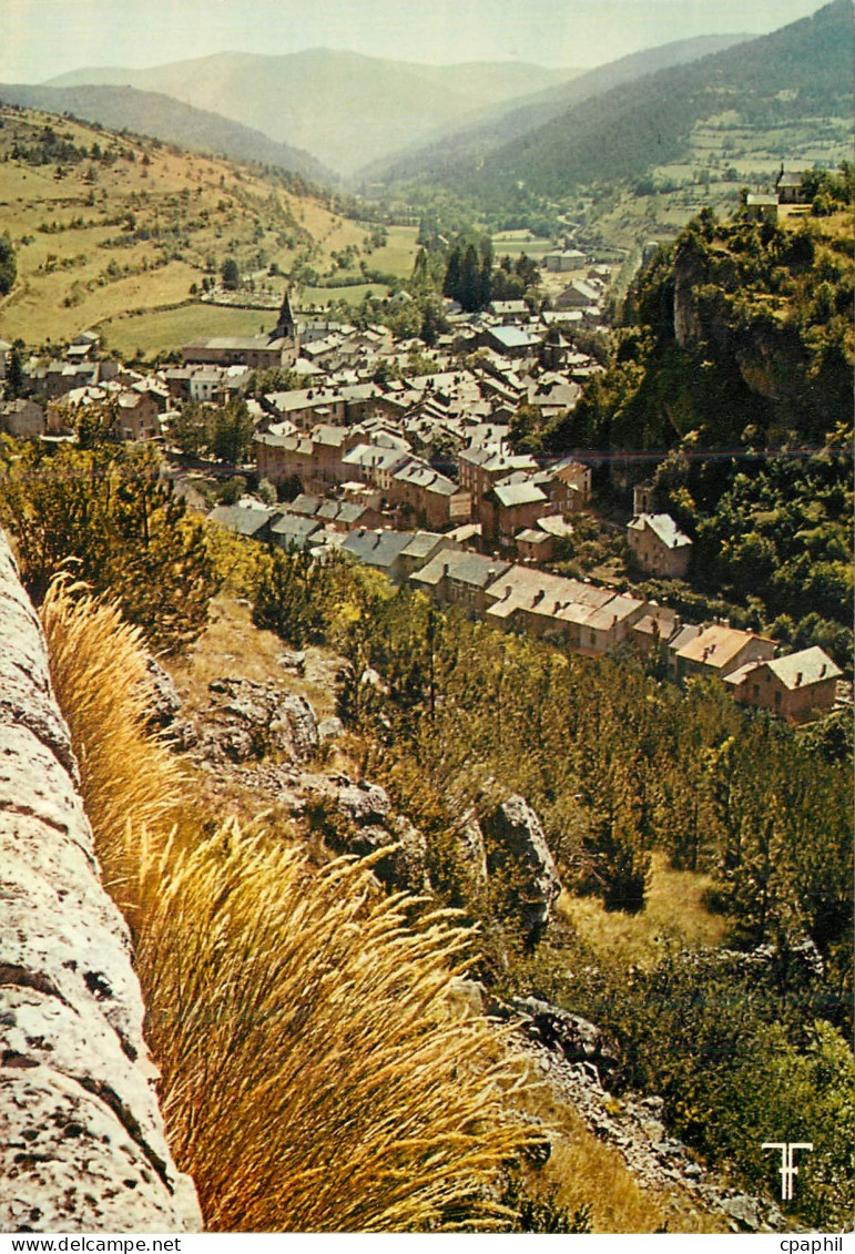 CPM Gorges de la Jonte Meyrueis Vue generale