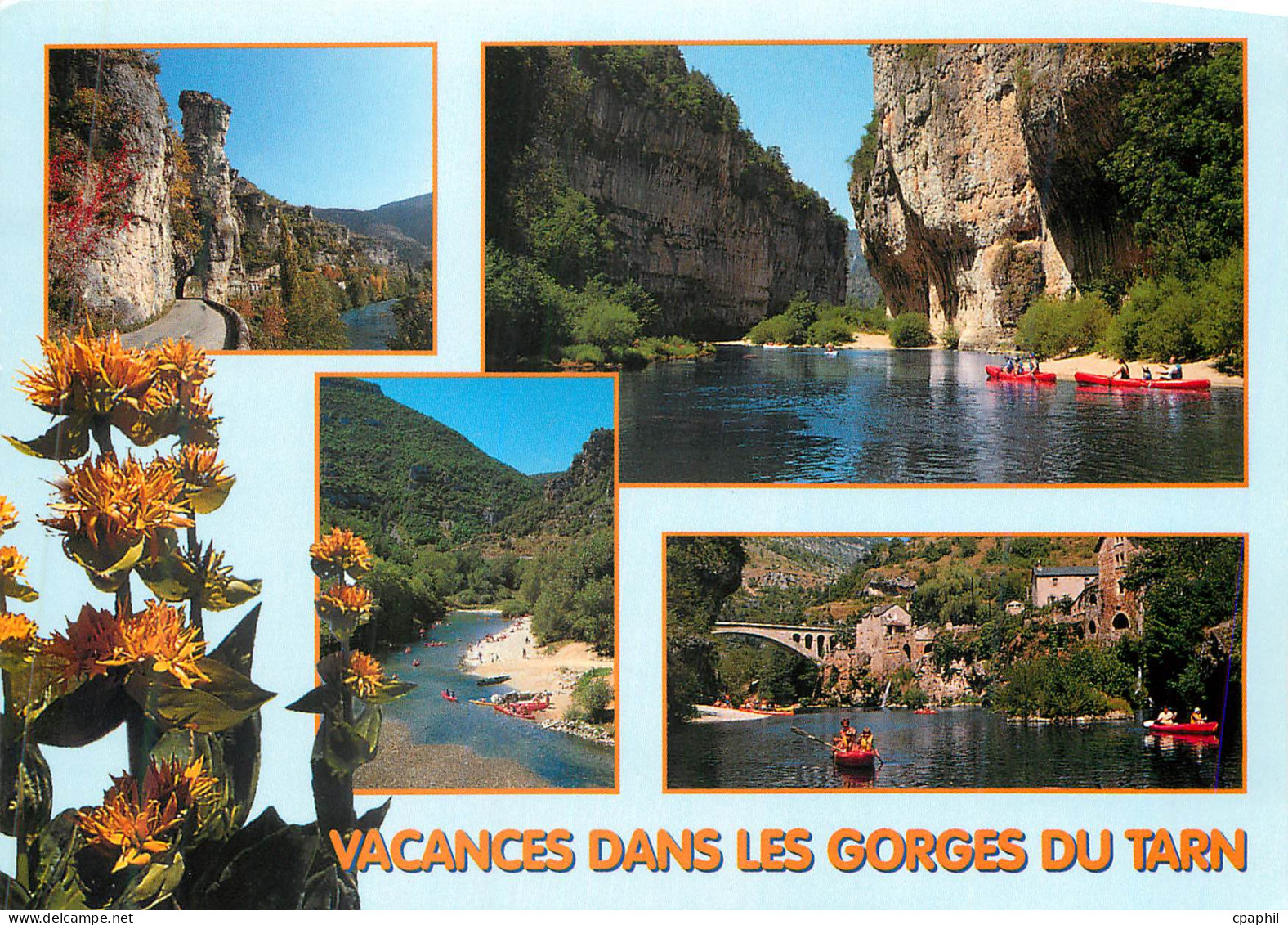 CPM Gorges du Tarn (Lozere) Pougnadoires Les Detrois