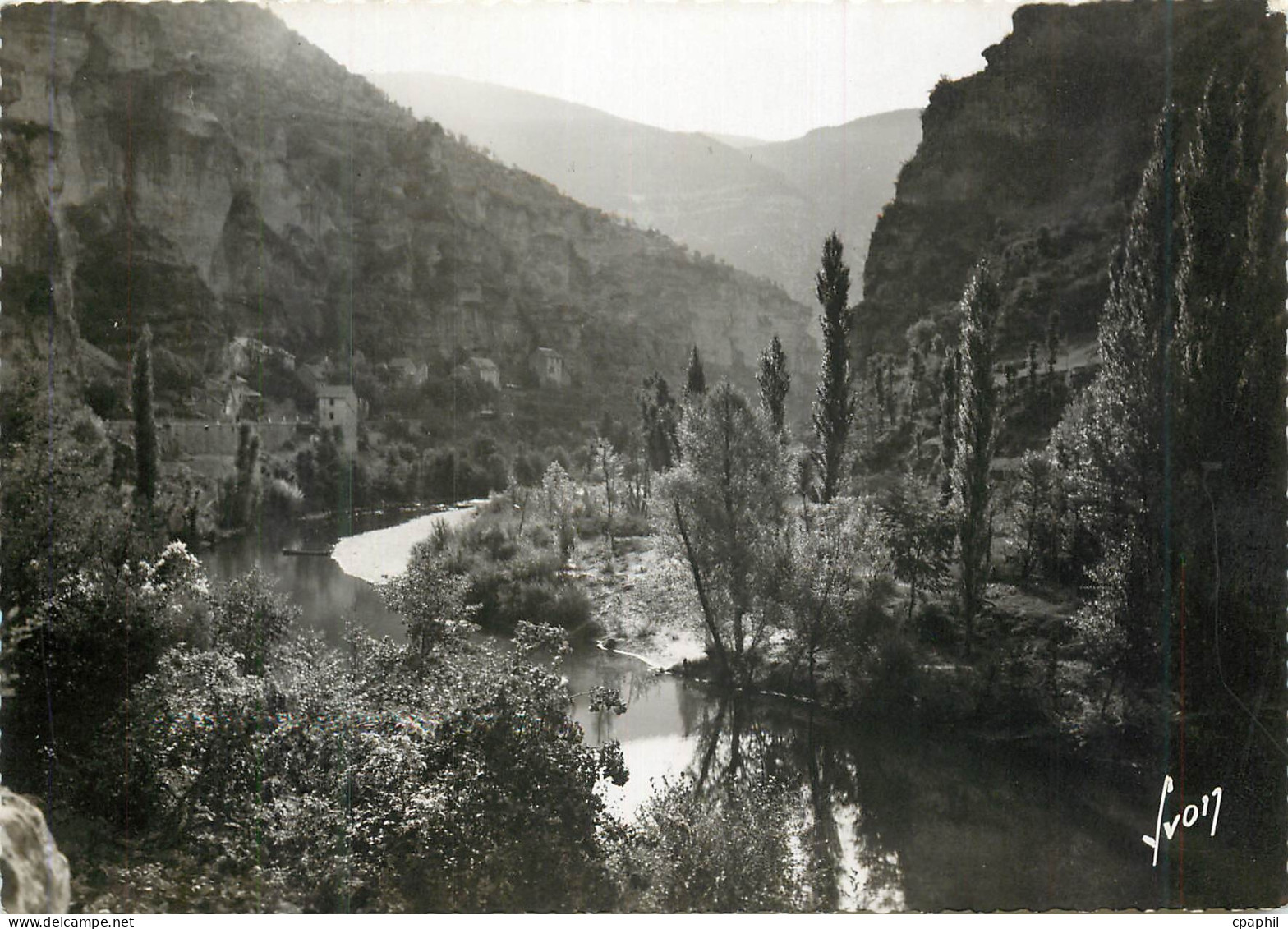 CPM Gorges du tarn pougnadoires (lozere) les rives du tarn