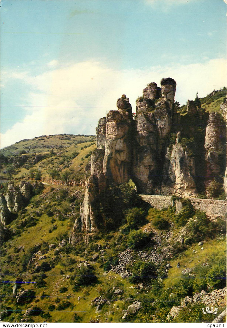CPM Gorges du Tarn Route de Meyrueis