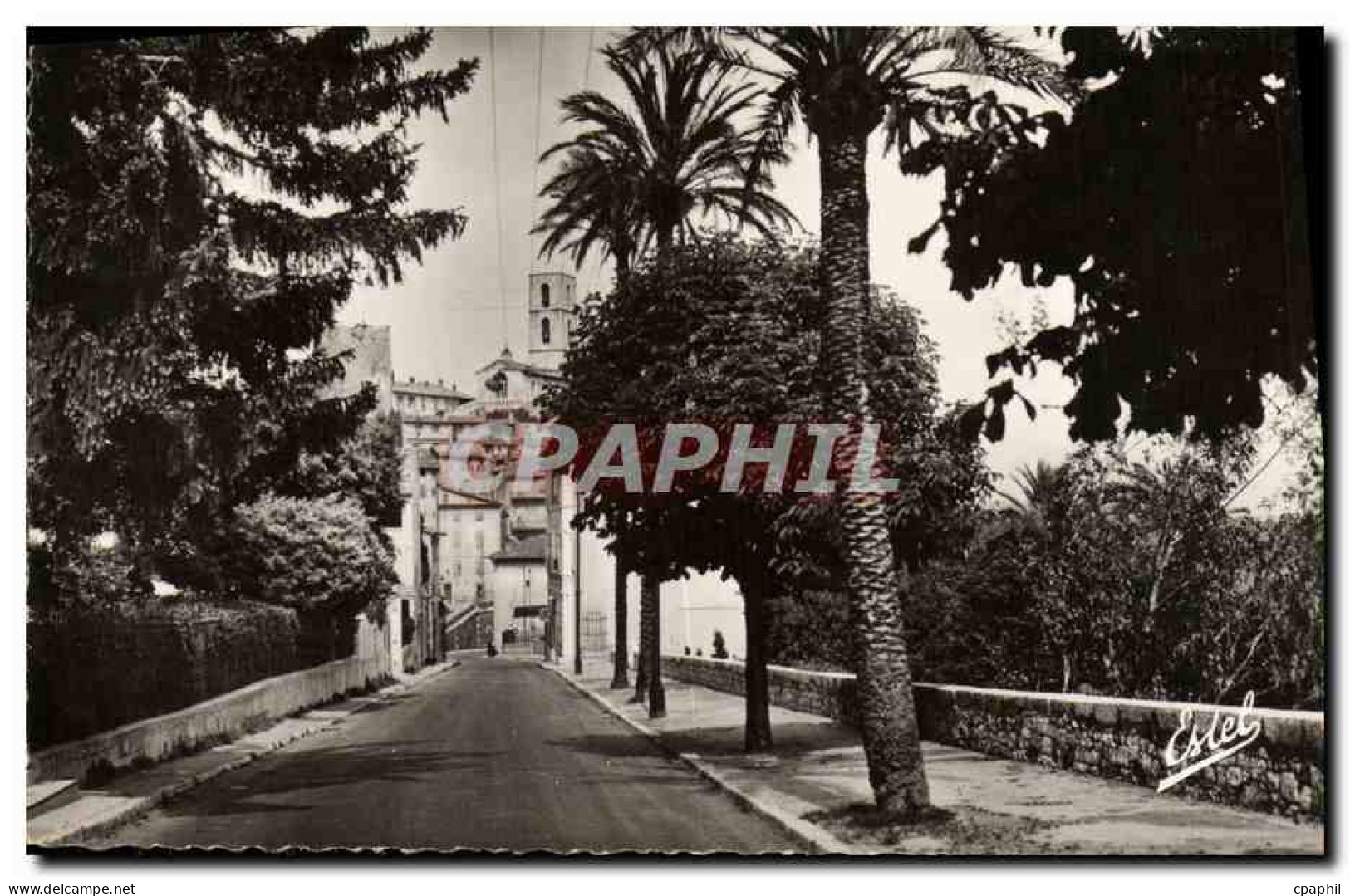 CPM Grasse Boulevard Frangonard