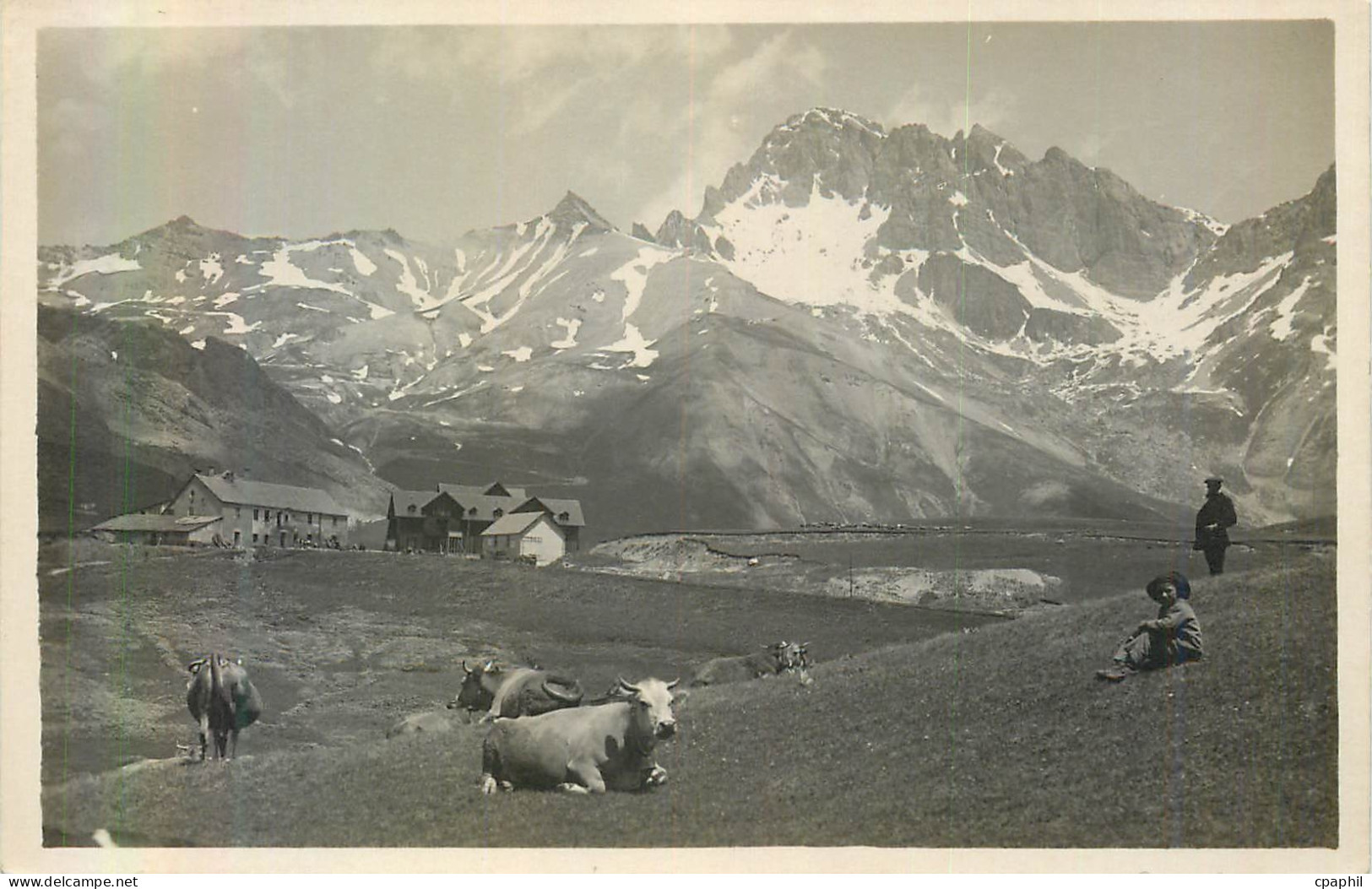 CPM Grenoble Vaches