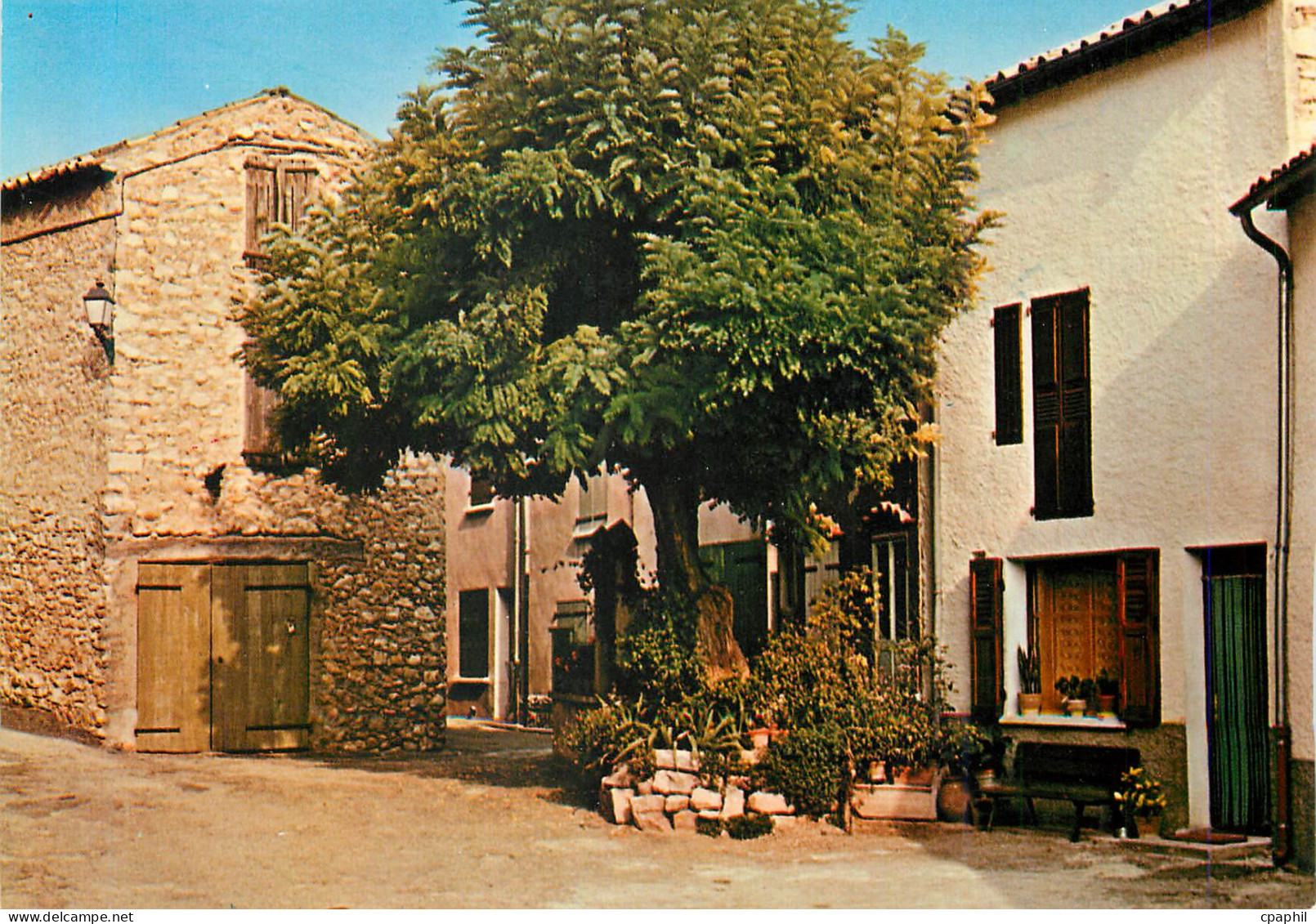 CPM Greoux les Bains (Alpes de Haute Provence) Tourisme Thermalisme Climatisme