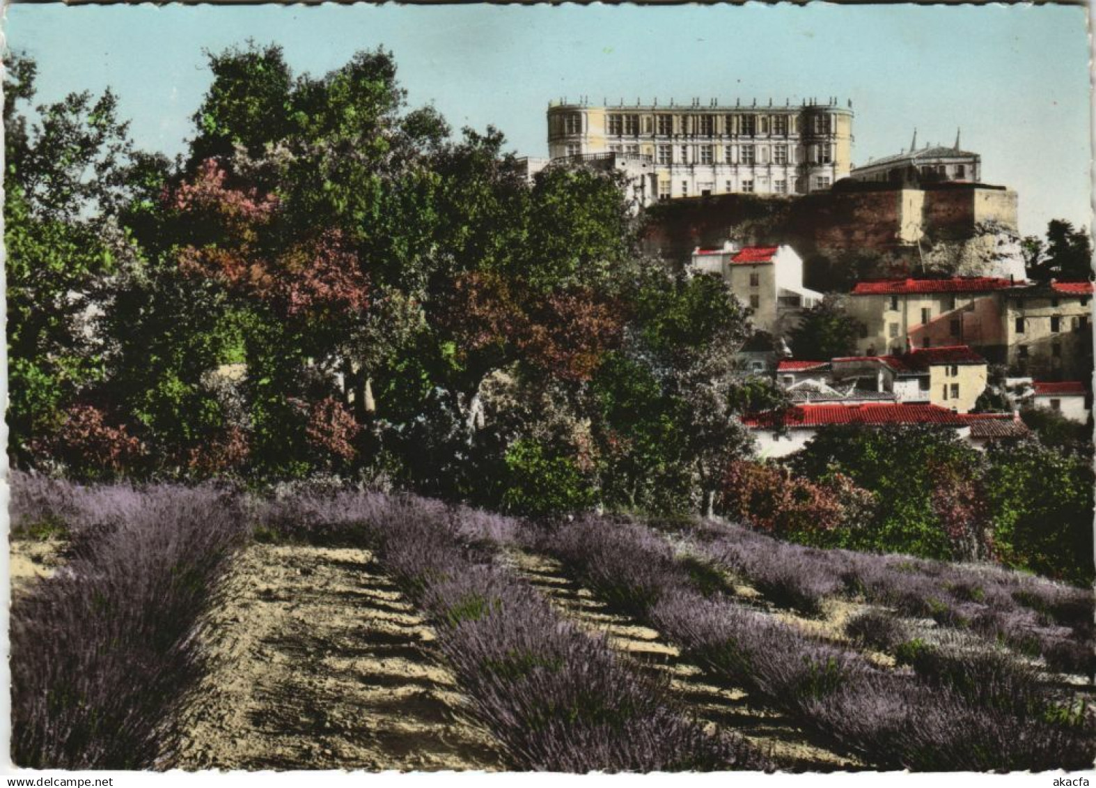 CPM GRIGNAN Le Chateau (1089725)
