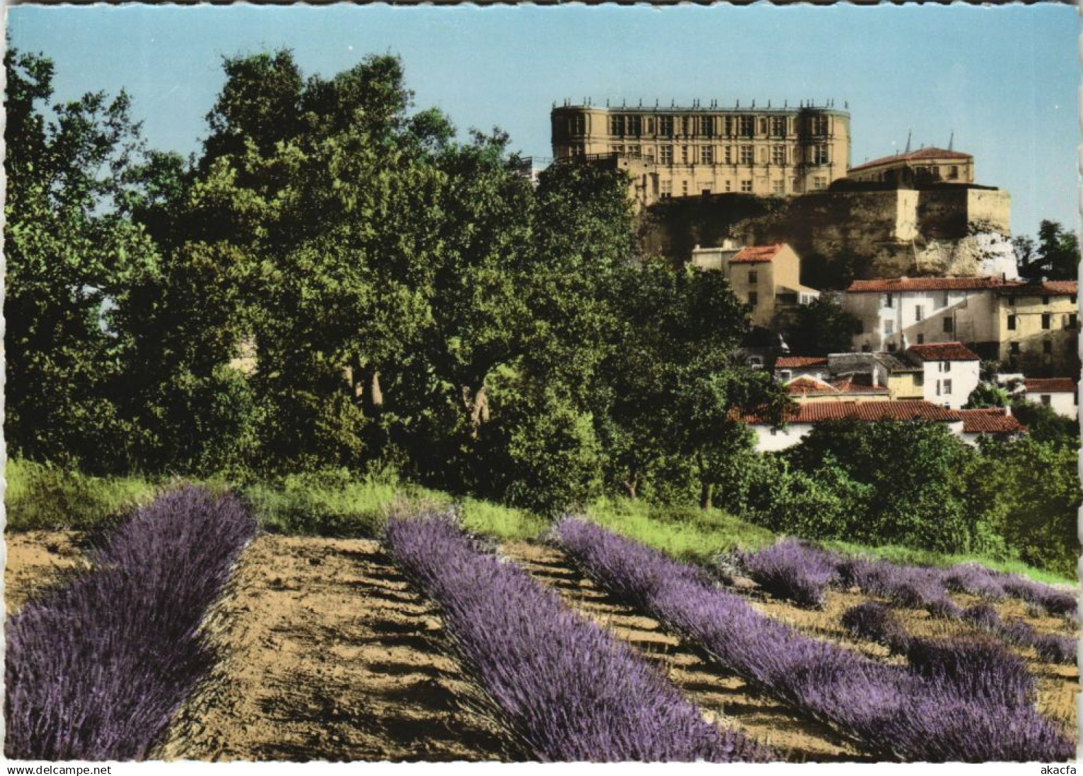 CPM GRIGNAN Le Chateau (1089834)
