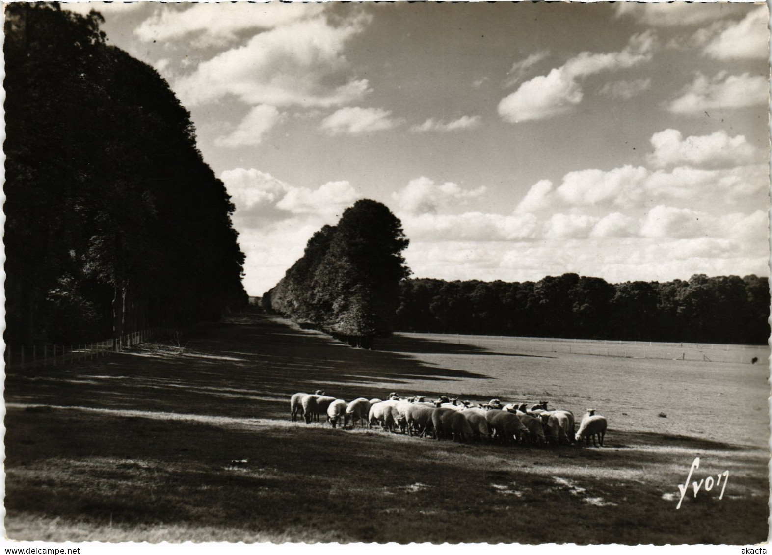 CPM Grignon Moutons au paturage FRANCE (1452657)