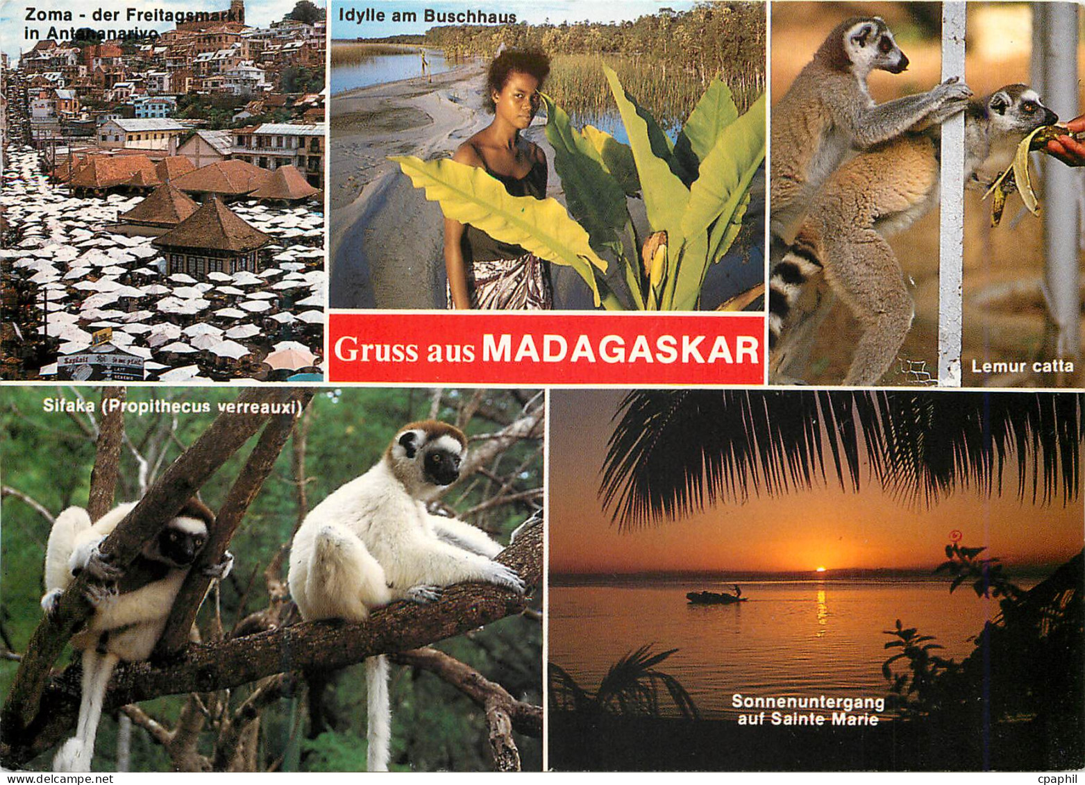 CPM Gruss aus Madagaskar Singes