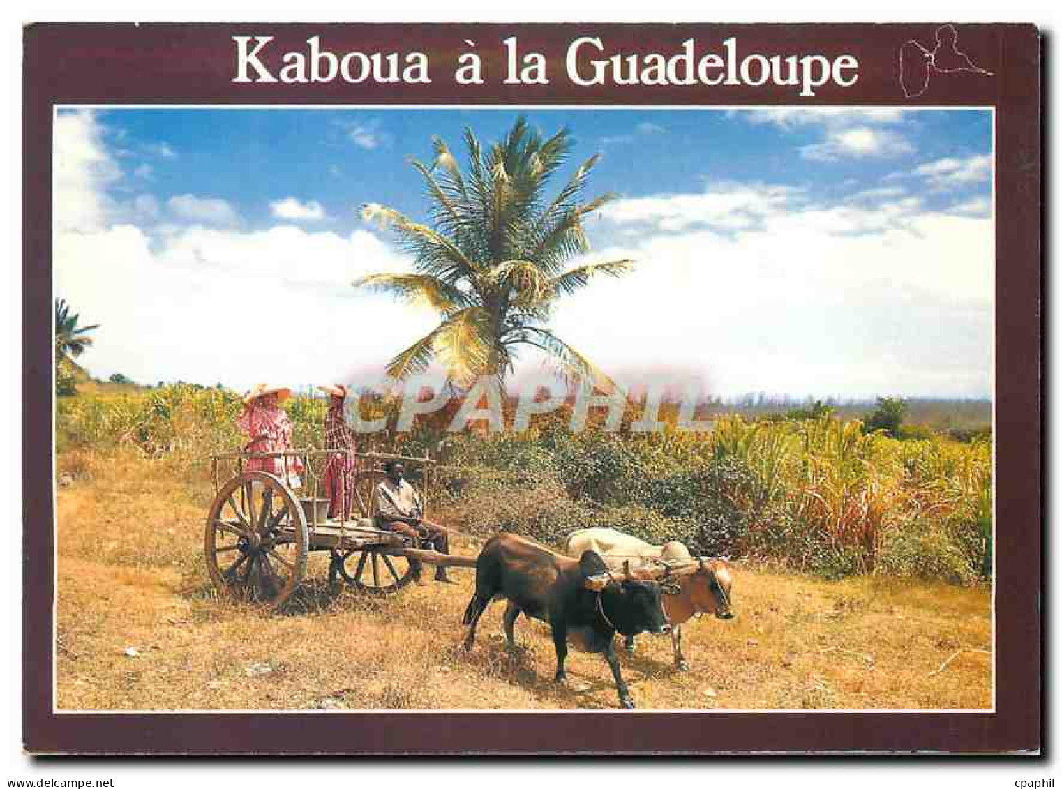 CPM Guadeloupe Kaboua charette de Guadeloupe
