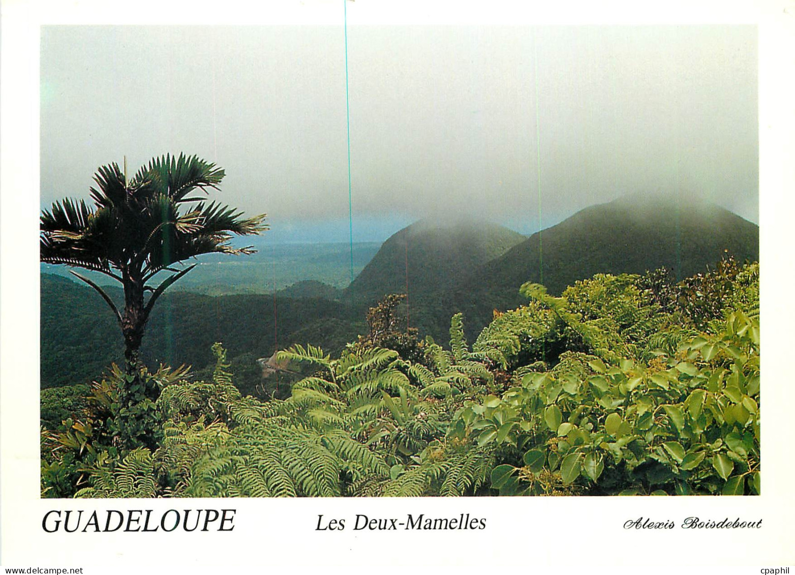 CPM Guadeloupe Les Deux Mamelles La Guadeloupe Montagnes de la Basse Terre