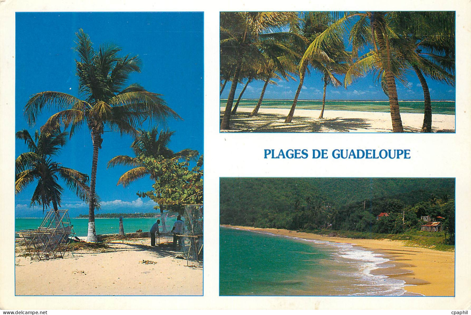 CPM Guadeloupe Plage de Guadeloupe