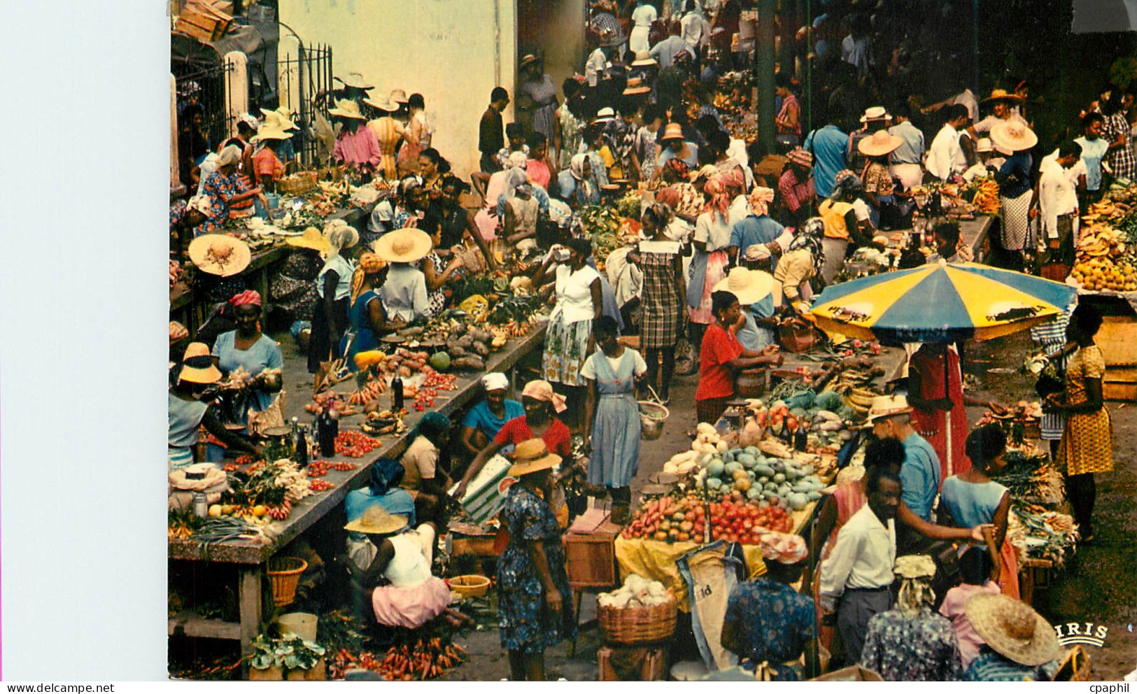 CPM Guadeloupe Pointe a Pitre Le marche Saint Antoine